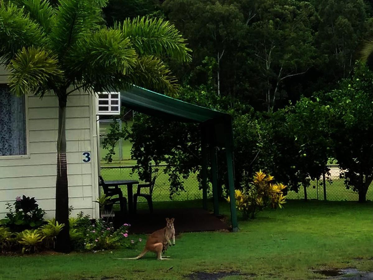 Flying Fish Point Tourist Park Hotel Innisfail Exterior foto